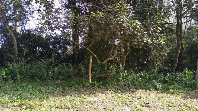 Imagem Terreno à Venda, 450 m² em Santa Luzia - Ribeirão Pires Imagem Terreno à Venda, 450 m² em Santa Luzia - Ribeirão Pires