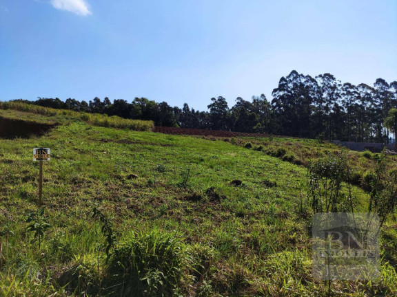 Imagem Terreno à Venda, 742 m² em João Alves - Santa Cruz Do Sul Imagem Terreno à Venda, 742 m² em João Alves - Santa Cruz Do Sul