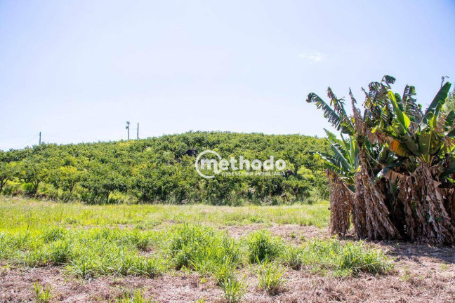 Imagem Imóvel à Venda, 56.785 m² em Feital - Morungaba Imagem Imóvel à Venda, 56.785 m² em Feital - Morungaba
