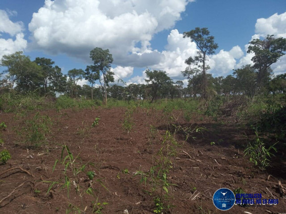 Imagem Fazenda à Venda, 195 m² em Zona Rural - Ribeirão Cascalheira Imagem Fazenda à Venda, 195 m² em Zona Rural - Ribeirão Cascalheira