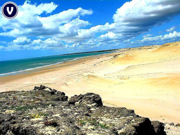 Imagem Terreno à Venda, 10 m² em Praia Da Baleia - Itapipoca Imagem Terreno à Venda, 10 m² em Praia Da Baleia - Itapipoca