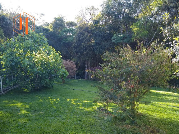 Imagem Imóvel com 2 Quartos à Venda, 6.000 m² em Loteamento Chácara Chantecler - Piraquara Imagem Imóvel com 2 Quartos à Venda, 6.000 m² em Loteamento Chácara Chantecler - Piraquara