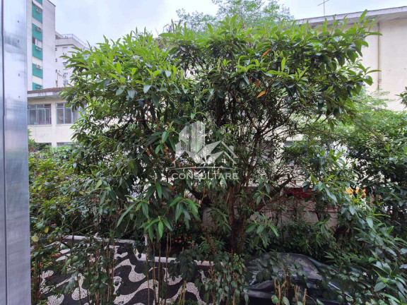Imagem Apartamento com 2 Quartos à Venda, 52 m² em Gonzaga - Santos Imagem Apartamento com 2 Quartos à Venda, 52 m² em Gonzaga - Santos