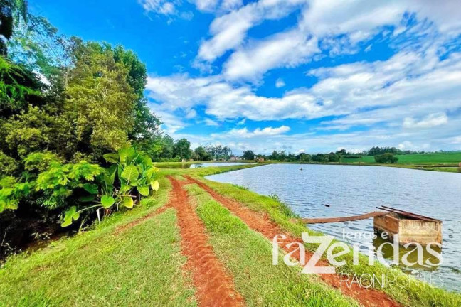 Imagem Fazenda à Venda, 187.200 m² em Vila Nova - Toledo Imagem Fazenda à Venda, 187.200 m² em Vila Nova - Toledo