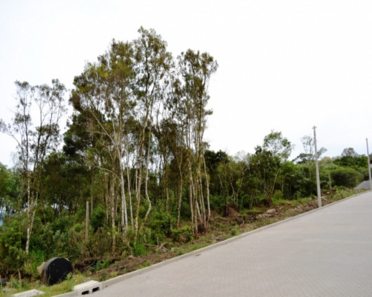 Imagem Imóvel à Venda, 370 m² em Linha Imperial - Nova Petrópolis Imagem Imóvel à Venda, 370 m² em Linha Imperial - Nova Petrópolis