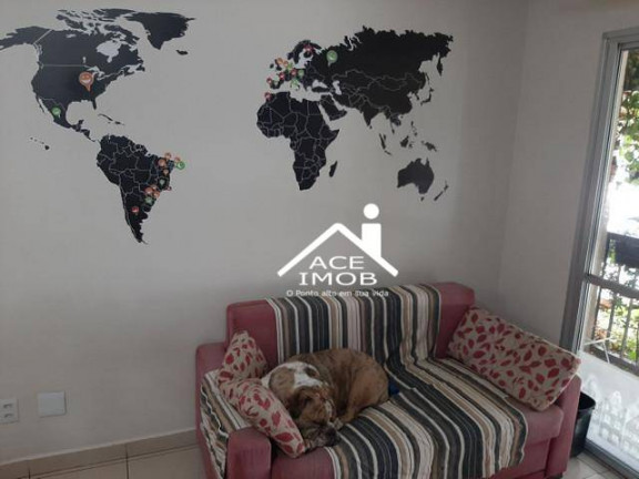 Imagem Apartamento com 2 Quartos à Venda, 50 m² em Vila Leopoldina - São Paulo Imagem Apartamento com 2 Quartos à Venda, 50 m² em Vila Leopoldina - São Paulo