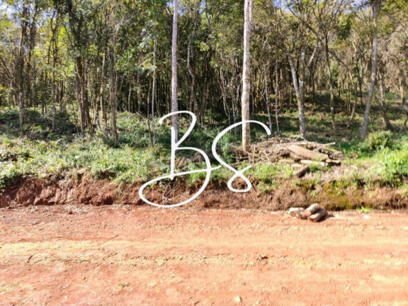 Imagem Terreno à Venda, 2.141 m² em Estrada Linha ávila - Gramado Imagem Terreno à Venda, 2.141 m² em Estrada Linha ávila - Gramado