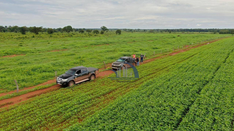 Imagem Fazenda à Venda, 626.634.800.000 m² em Jd Sta Bárbara - Palmas