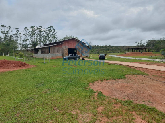 Imagem Chácara à Venda, 10.000 m² em Morro Alto - Balneário Piçarras