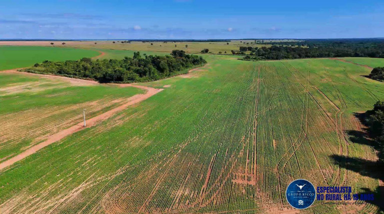 Imagem Fazenda à Venda, 343 m² em Zona Rural - Montes Claros De Goiás Imagem Fazenda à Venda, 343 m² em Zona Rural - Montes Claros De Goiás