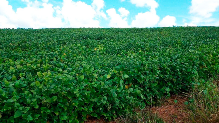 Imagem Fazenda à Venda, 895.000 m² em Centro - Andradas Imagem Fazenda à Venda, 895.000 m² em Centro - Andradas