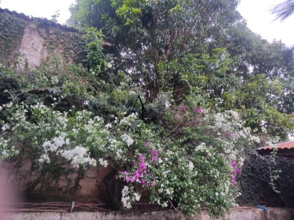 Imagem Chácara com 2 Quartos à Venda, 1.330 m² em Recanto Dos Dourados - Campinas
