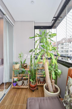 Imagem Apartamento com 3 Quartos à Venda, 105 m² em Chácara Klabin - São Paulo