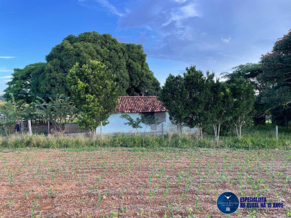 Imagem Chácara à Venda, 10 m² em Zona Rural - Goiás Imagem Chácara à Venda, 10 m² em Zona Rural - Goiás