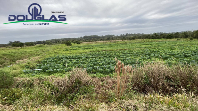 Imagem Chácara à Venda, em águas Claras - Viamão Imagem Chácara à Venda, em águas Claras - Viamão