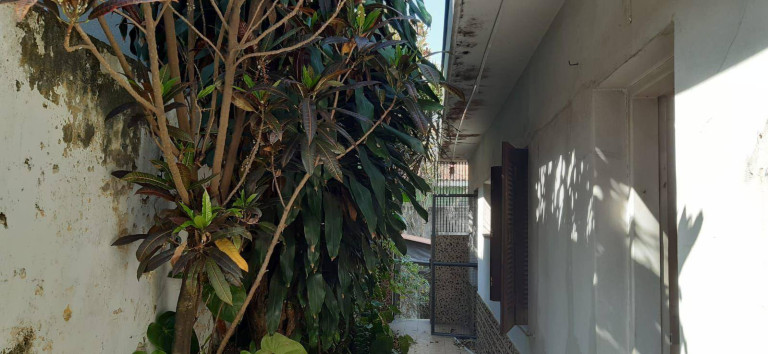 Imagem Casa com 4 Quartos à Venda, 290 m² em Jabaquara - São Paulo Imagem Casa com 4 Quartos à Venda, 290 m² em Jabaquara - São Paulo