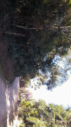 Imagem Terreno à Venda, 10.000 m² em Jundiai - Jundiaí