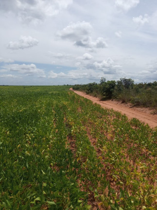 Imagem Imóvel à Venda,  em Colinas Do Tocantins/to - Colinas Do Tocantins