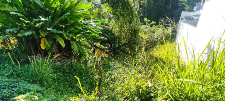 Imagem Terreno à Venda, 600 m² em Santa Rita - Ubatuba