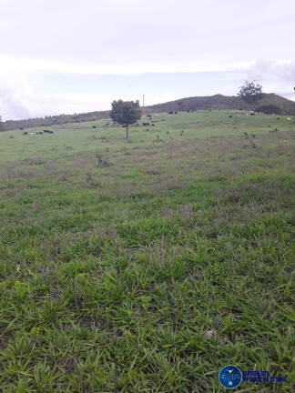 Imagem Fazenda à Venda, 57 m² em Zona Rural - Mozarlândia Imagem Fazenda à Venda, 57 m² em Zona Rural - Mozarlândia