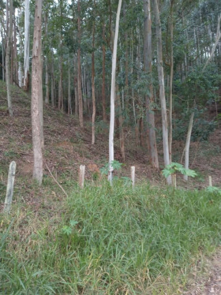 Imagem Chácara com 2 Quartos à Venda, 200 m² em Vila Amelia - Paraibuna Imagem Chácara com 2 Quartos à Venda, 200 m² em Vila Amelia - Paraibuna