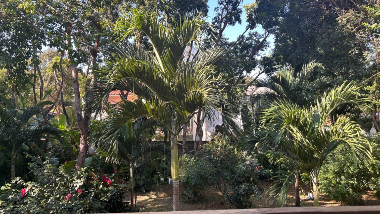Imagem Casa com 3 Quartos à Venda, 959 m² em Imediações Do Anel Viário De Pipa - Tibau Do Sul Imagem Casa com 3 Quartos à Venda, 959 m² em Imediações Do Anel Viário De Pipa - Tibau Do Sul