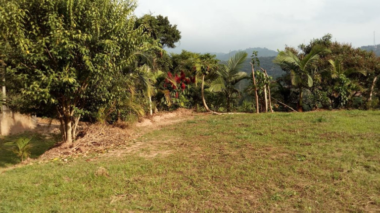 Imagem Fazenda à Venda, 80 m² em Taboão - Mogi Das Cruzes Imagem Fazenda à Venda, 80 m² em Taboão - Mogi Das Cruzes
