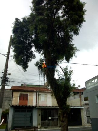 Imagem Casa com 3 Quartos à Venda, 100 m² em Jardim Brasília - São Paulo Imagem Casa com 3 Quartos à Venda, 100 m² em Jardim Brasília - São Paulo