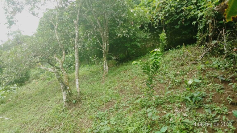 Imagem Casa com 3 Quartos à Venda, 1 m² em Parque São Clemente - Nova Friburgo Imagem Casa com 3 Quartos à Venda, 1 m² em Parque São Clemente - Nova Friburgo