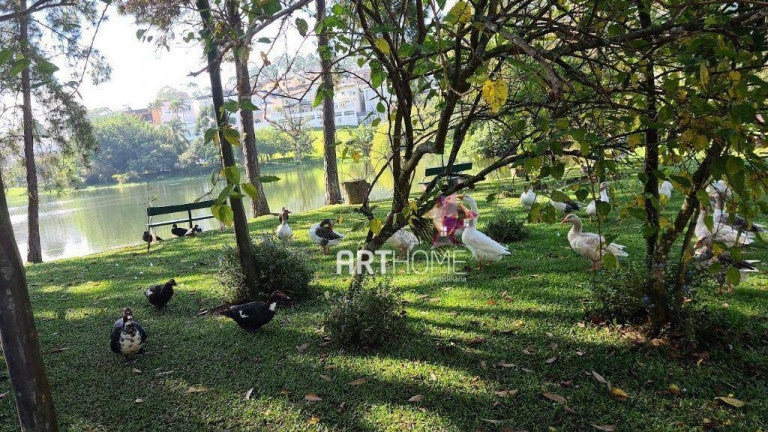 Imagem Sobrado com 5 Quartos à Venda, 800 m² em Parque Terra Nova Ii - São Bernardo Do Campo Imagem Sobrado com 5 Quartos à Venda, 800 m² em Parque Terra Nova Ii - São Bernardo Do Campo