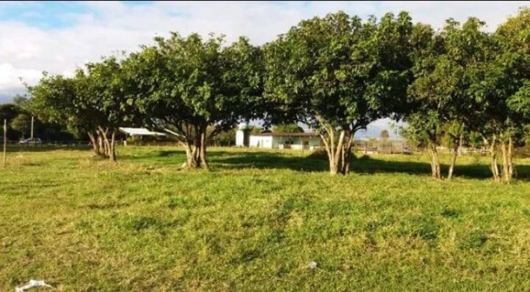 Imagem Chácara à Venda, 94.372 m² em Tremembé Imagem Chácara à Venda, 94.372 m² em Tremembé