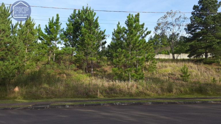 Imagem Terreno à Venda, 1.429 m² em Santa Isabel - Viamão