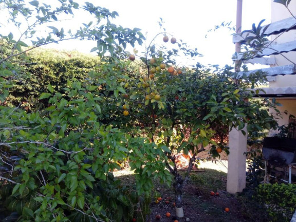 Imagem Chácara com 4 Quartos à Venda, 300 m² em Jardim São Felipe - Atibaia Imagem Chácara com 4 Quartos à Venda, 300 m² em Jardim São Felipe - Atibaia