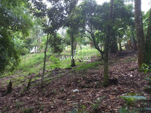 Imagem Fazenda à Venda, 300 m² em Centro - Extrema Imagem Fazenda à Venda, 300 m² em Centro - Extrema