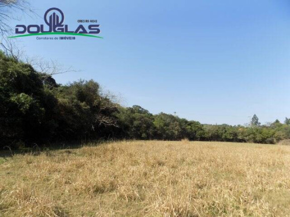 Imagem Chácara à Venda, 20.000 m² em águas Claras - Viamão