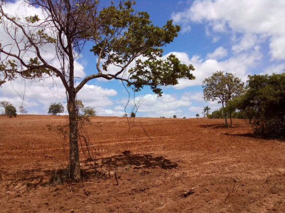 Imagem Fazenda à Venda, 32 m² em Rural - Bauru Imagem Fazenda à Venda, 32 m² em Rural - Bauru