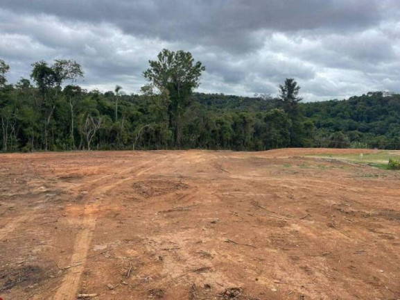 Terreno à Venda, 54.403 m² em Ribeirão Dos Porcos - Atibaia