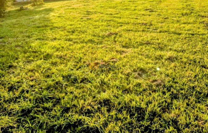 Imagem Terreno à Venda, 2.540 m² em Loteamento Alphaville Campinas - Campinas Imagem Terreno à Venda, 2.540 m² em Loteamento Alphaville Campinas - Campinas