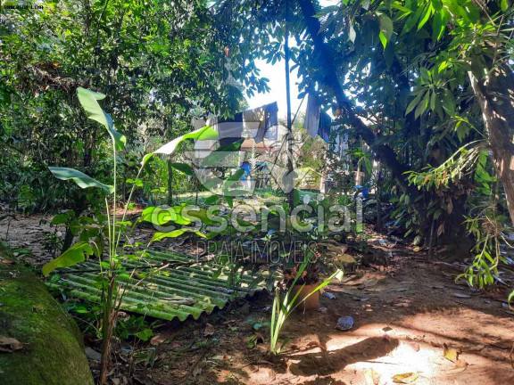 Imagem Casa com 2 Quartos à Venda, 100 m² em Praia Do Prumirim - Ubatuba