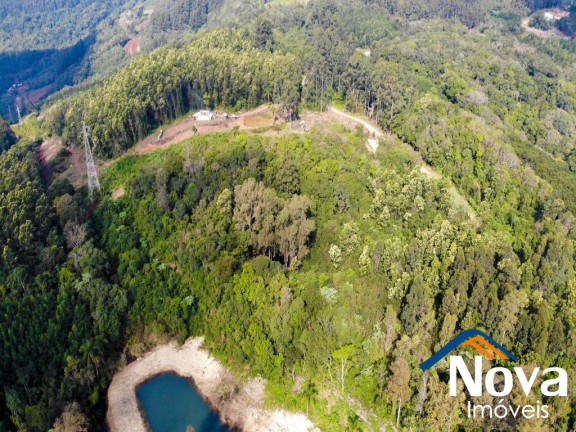 Imagem Imóvel à Venda, 32.549 m² em Linha Olinda - Nova Petrópolis Imagem Imóvel à Venda, 32.549 m² em Linha Olinda - Nova Petrópolis