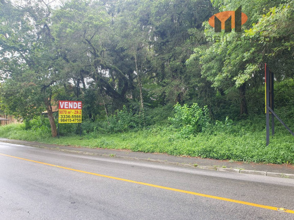 Imagem Terreno à Venda, 9.070 m² em Cascatinha - Curitiba