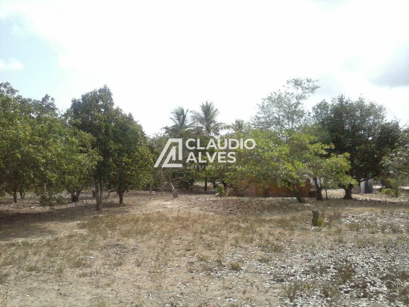 Imagem Terreno à Venda, 10 m² em Jaíba - Feira De Santana Imagem Terreno à Venda, 10 m² em Jaíba - Feira De Santana