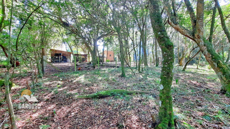 Imagem Fazenda à Venda, 12.000 m² em Morro Grande - Viamão Imagem Fazenda à Venda, 12.000 m² em Morro Grande - Viamão