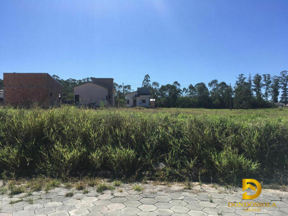 Imagem Terreno à Venda, 367 m² em Palladini - Morro Da Fumaça
