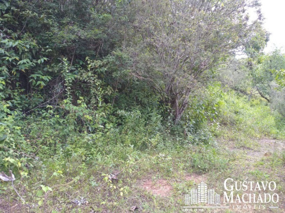 Imagem Terreno à Venda, 19.200 m² em Roma - Volta Redonda