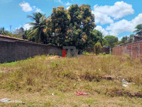 Imagem Terreno à Venda, 530 m² em São José - Macaíba