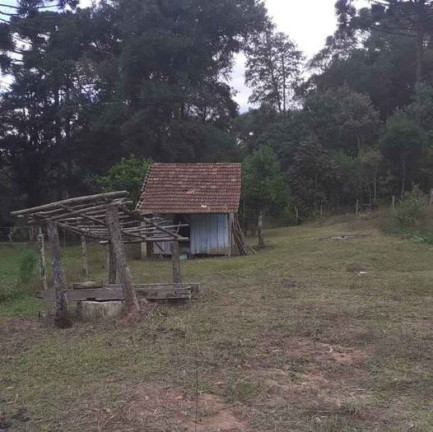 Imagem Imóvel com 3 Quartos à Venda, em Antonio Olinto - Antônio Olinto Imagem Imóvel com 3 Quartos à Venda, em Antonio Olinto - Antônio Olinto