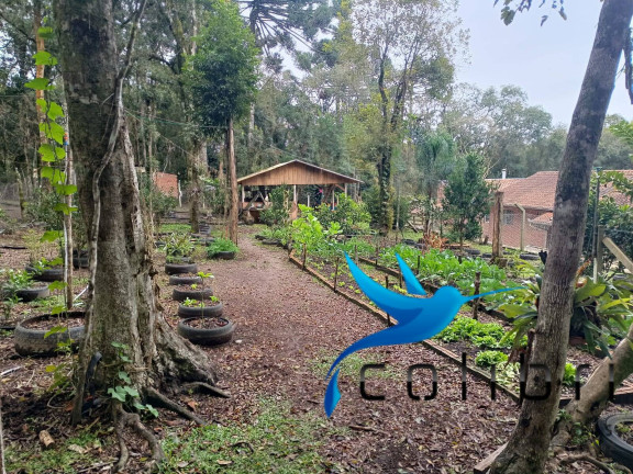Imagem Chácara com 8 Quartos à Venda, 33.000 m² em Rio Da Várzea - Quitandinha Imagem Chácara com 8 Quartos à Venda, 33.000 m² em Rio Da Várzea - Quitandinha