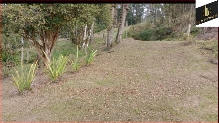 Imagem Imóvel com 2 Quartos à Venda, 32.000 m² em Rio Da Areia - Lapa Imagem Imóvel com 2 Quartos à Venda, 32.000 m² em Rio Da Areia - Lapa