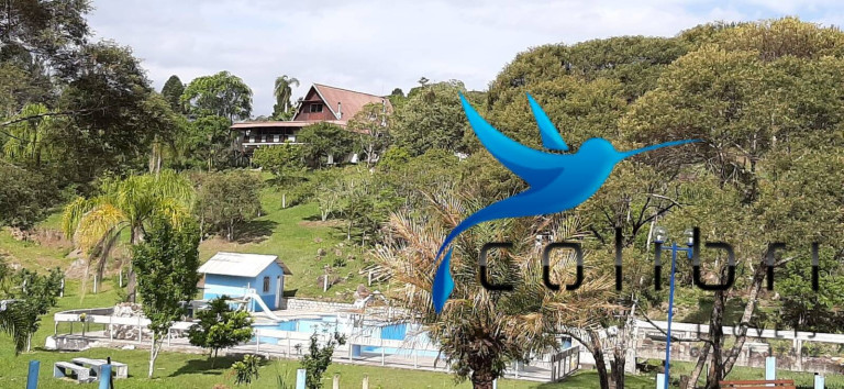 Imagem Chácara com 2 Quartos à Venda, 2.030 m² em Ximbuva - Agudos Do Sul Imagem Chácara com 2 Quartos à Venda, 2.030 m² em Ximbuva - Agudos Do Sul